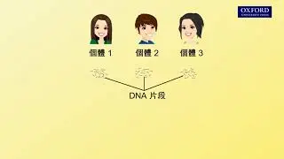 動畫E4, 1.6 DNA 指紋分析