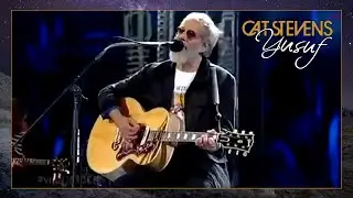 Yusuf / Cat Stevens - Father and Son (Viña Del Mar Festival, Chile 2015)