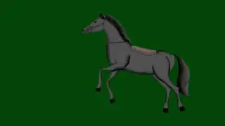 Cartoon  Black horse all pose  green screen video