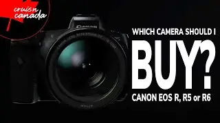 Which Camera Should I Buy in 2020? And Why?  Canon EOS R vs R5 vs R6?