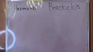 «Гормон» приворот. Автор Практик13