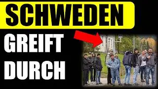 🚨 BRISANT! Schweden startet REMIGRATION! (Unglaubliche Details in diesem Video!)