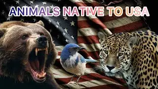 Which animals are native to United states of America 🇺🇸 ?