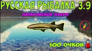 Русская рыбалка 3.9.  Галаксия чилийская.