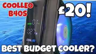 Best Budget Cooler? COOLLEO B40S DIG