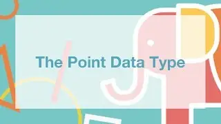 The Point Data Type