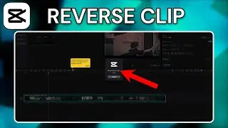 How To Reverse Video In CapCut PC - Full Guide