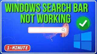 Windows Search Bar Not Working | Fix Windows 10/11 Search Issues