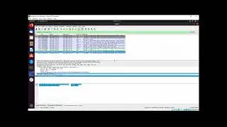 Decrypt SSL Traffic with Wireshark بالعربي