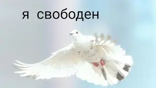 я свободен     I am free   русский   RUSSIAN КИПЕЛОВ  English Subtitles