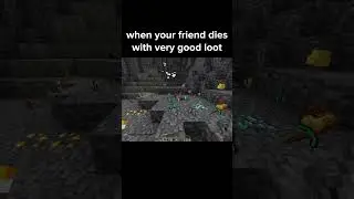 Minecraft Friend Moment