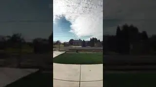 Ring camera captures Emu in California 😂 #funnyvideo #ringcamera #tiktok #youtube  #trending #shorts
