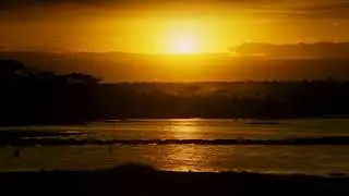 [10 Hours] African Savannah River at Dawn - Video & Soundscape [1080HD] SlowTV