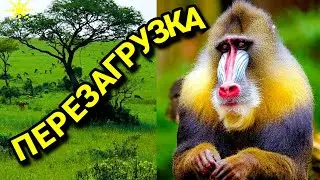 Как я регулярно провожу очищение души и мозга, моя перезагрузка. № 635