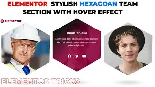 Elementor Stylish Hexagon Team Section Tutorial Tricks | WordPress Builder