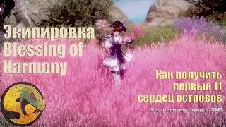 Гайд по сету Blessing of Harmony/Собираем 8 сердец островов/ASP