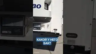 полуприцеп реф Schmitz Cargobull