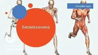 Биомеханика / Политех