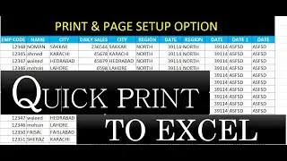 #129 Quick Print To Excel Hindi