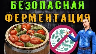 Безопасная ферментация