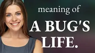 Understanding A Bugs Life: Exploring English Idioms