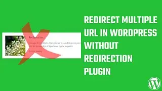 How to redirect multiple URL in WordPress without redirection plugin? 