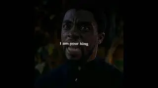 black panther   t'challa uncovers the truth.