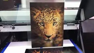 MUST SEE! Lenticular print done on UJF-6042MKII by PDS Equipment