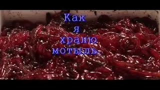 Зимняя рыбалка. Как я храню мотыль.