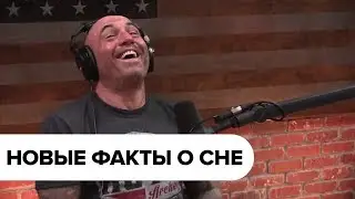 Джо Роган о сне с Мэтью Уокером  // Чем опасен недосып или 6-часовой сон