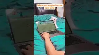 when you love Tech more than kitty 