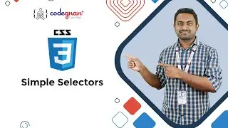 Simple Selectors | CSS Selectors | Frontend Playlist