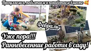 Уже пора!!! Ранневесенние работы в саду! Прогуляемся, поболтаем и поработаем вместе 🥰 Обрезка злаков