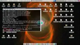 How to fix 'Expired GPG Key Error' for Oracle MySQL Apt Repo On Debian