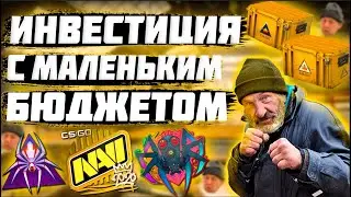 Во Что ИНВЕСТИРОВАТЬ С МАЛЕНЬКИМ Бюджетом ? ИНВЕСТЦИИ Кс Го