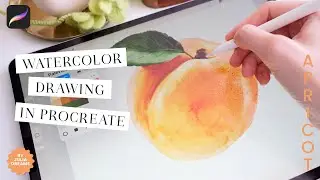 Watercolor Procreate Brushes / Drawing Apricot / Digital Watercolor Tutorial