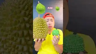 Pilih Besar atau Kecil?? 🤔 