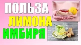 ИМБИРЬ И ЛИМОН🍋 Целебные свойства,польза имбиря и лимона