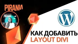 Как добавить layout Divi