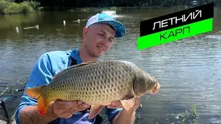 ЛОВЛЯ КАРПА / РЫБАЛКА НА ПЛАТНИКЕ / FROS FISHING