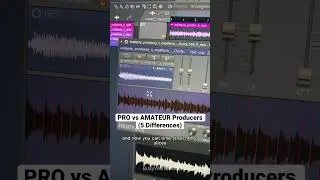 PRO vs AMATEUR Producers (5 Differences)