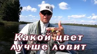 Тейл спиннер осенью! Какой ЦВЕТ ТЕЙЛ СПИННЕРА лучший ДЛЯ ЩУКИ! Рыбалка на щуку и окуня.