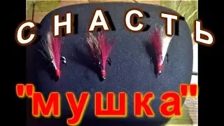 снасть  