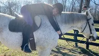 MILKING A COW, RIDING A HORSE & HUGGING A LLAMA!