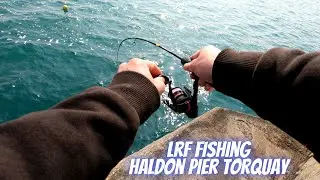 LRF Fishing - Haldon Pier Torquay