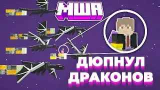 МЫ ДЮПНУЛИ И УКРАЛИ 30 ЭНДЕР-ДРАКОНОВ В ВЫЖИВАНИИ | МайнШилд Академия