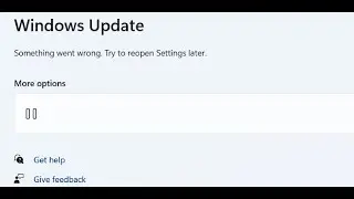 Fix Windows 11 Update Error Something Went Wrong Try To Reopen Settings Later