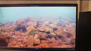 Атака щуки в родной стихии. 7-ка с записью от пользователя