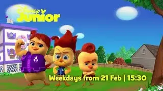 The Squad Is Back |The Chicken Squad | Disney Junior Africa