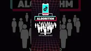 TikTok Algorithm Explained In 30 SECONDS! ⏰